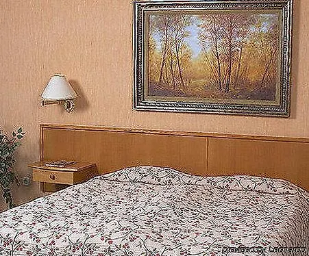 Burg Hotel Budapest 3*,